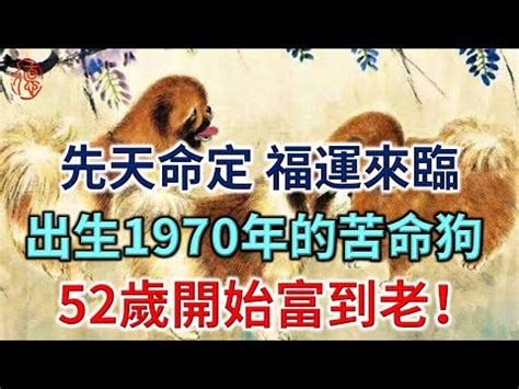 1970屬|1970年是什麼生肖？70年生人命運如何？五行屬釵釧。